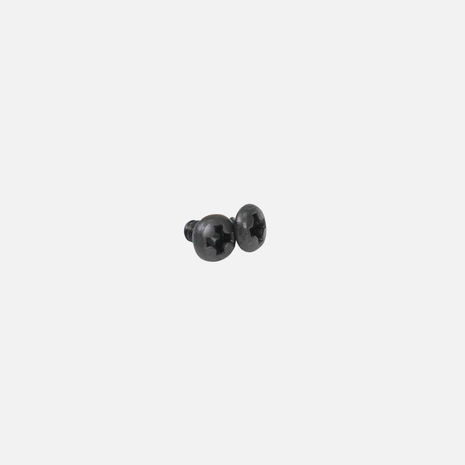 Screws & Spring Kit - M1